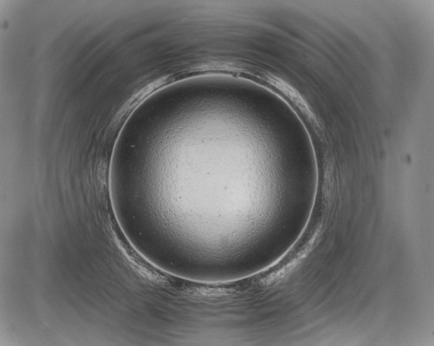 X0000085210849200703161217