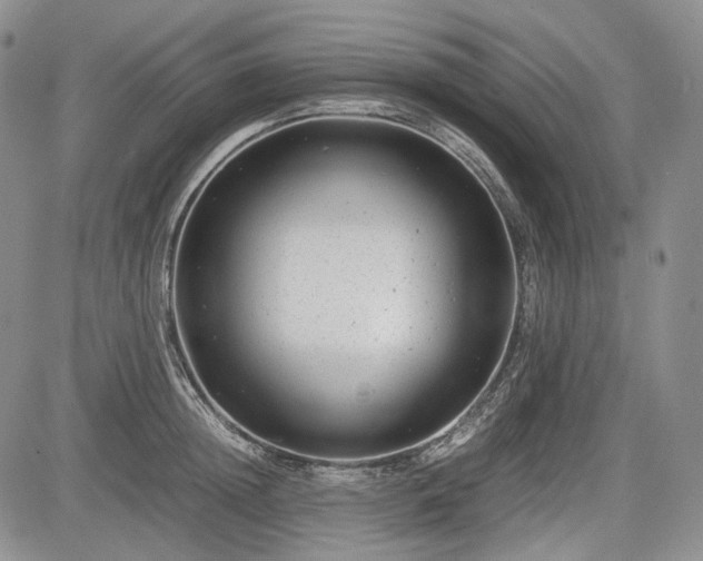 X0000085210852200703161217