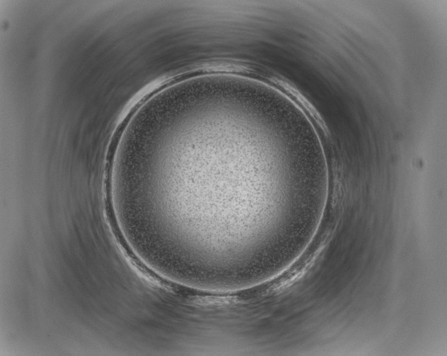 X0000085210853200703161217