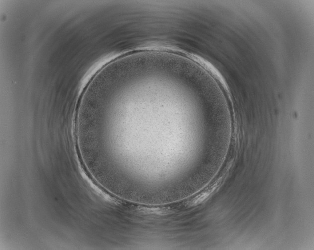 X0000085210855200703161217