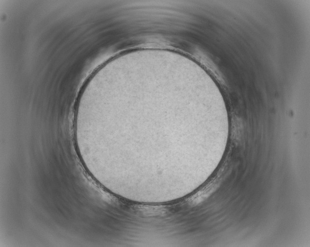 X0000085210856200703161217