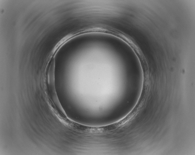 X0000085210858200703161217