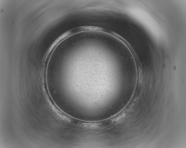 X0000085210861200703161217