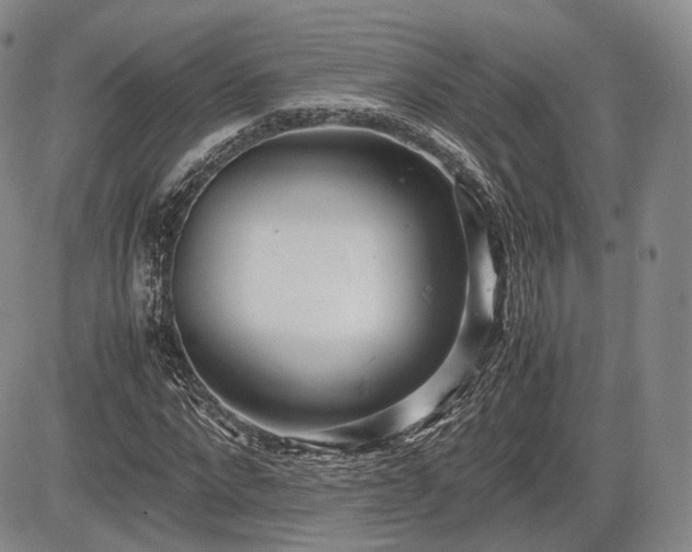 X0000085210872200703161216