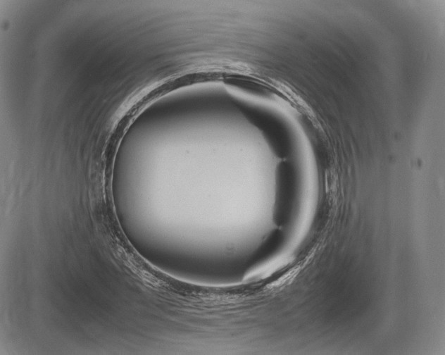 X0000085210877200703161216