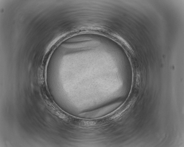 X0000085210878200703161216