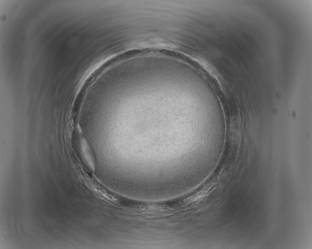 X0000085210879200703161216