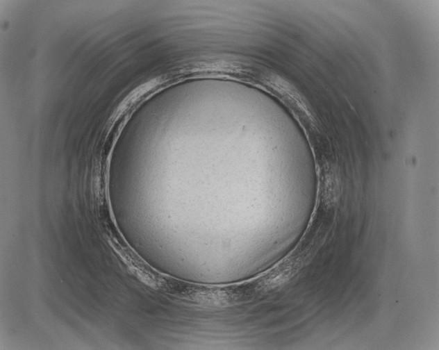 X0000085210882200703161216