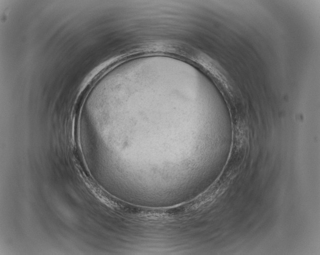 X0000085210886200703161216