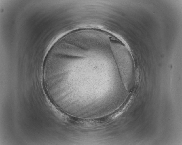X0000085210895200703161216