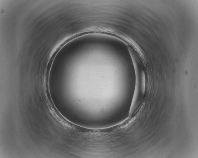 X0000085210896200703161216