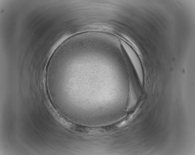 X0000085210899200703161216