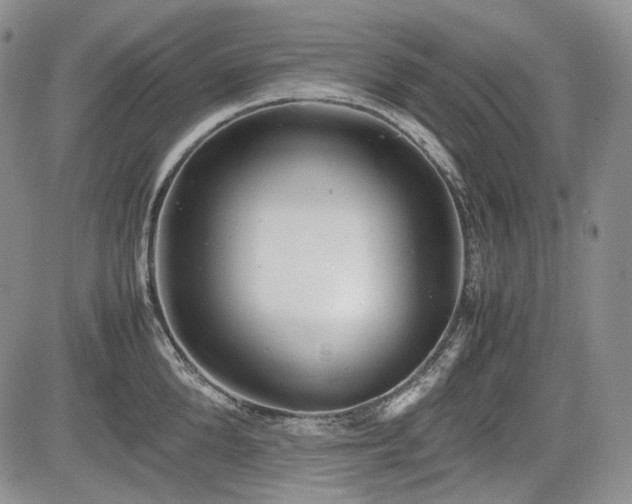 X0000085210904200703161216