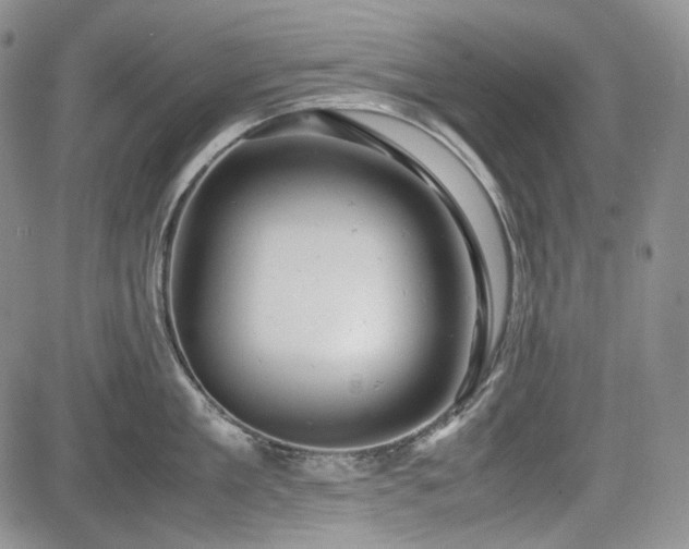 X0000085210909200703161216