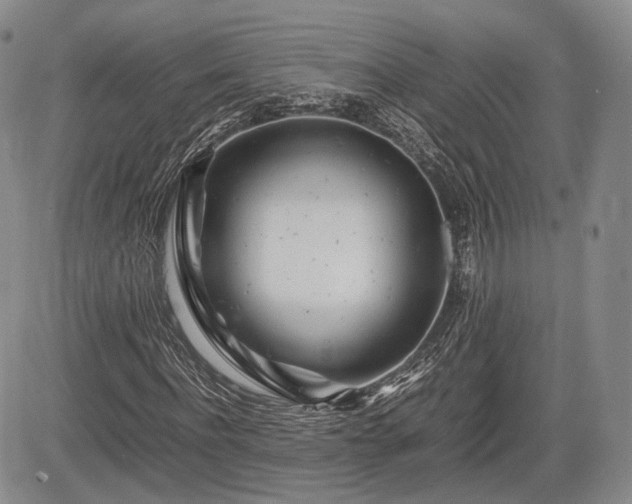 X0000085210916200703161215
