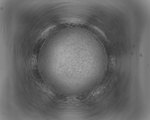 X0000085210918200703161215