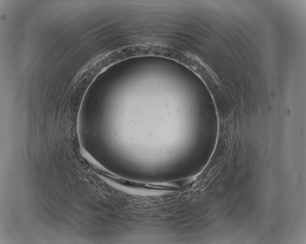X0000085210919200703161215