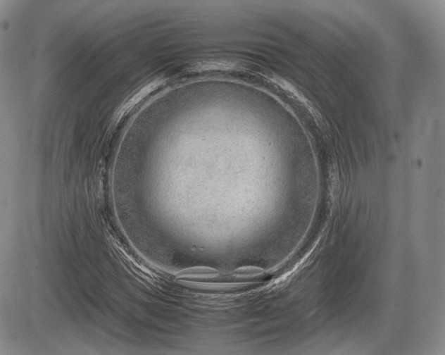 X0000085210921200703161215