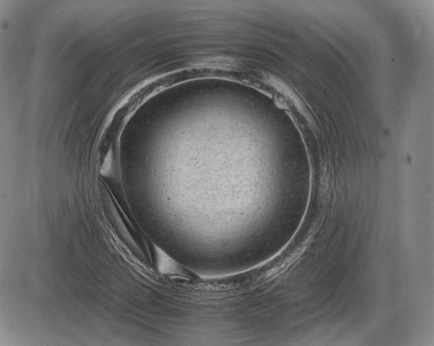 X0000085210923200703161215