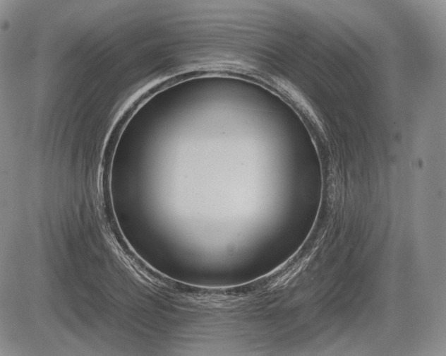 X0000085210932200703161215