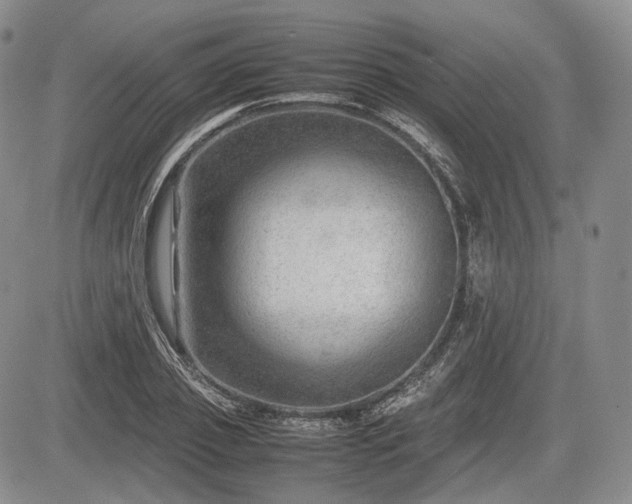 X0000085210933200703161215