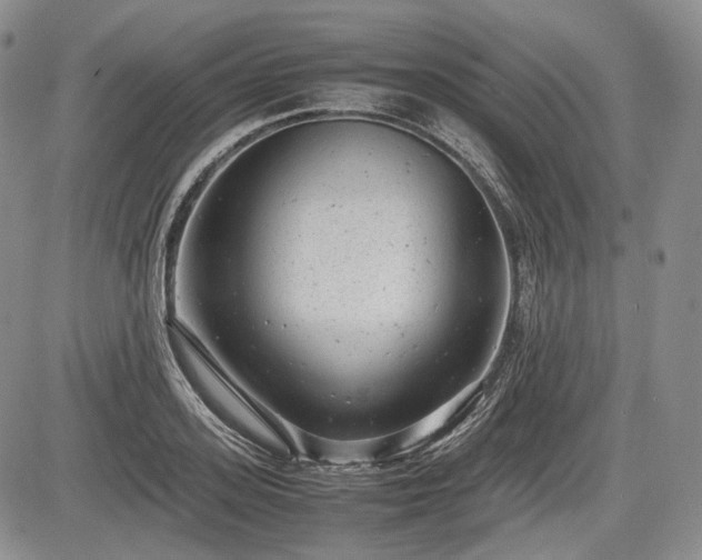X0000085210939200703161215