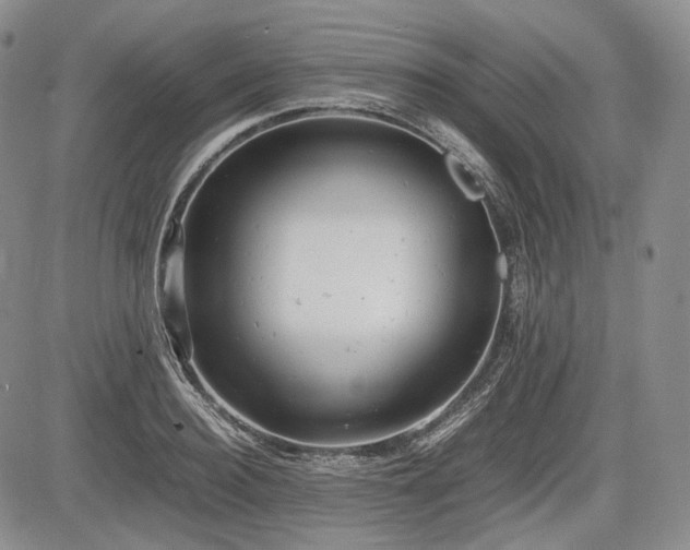 X0000085210940200703161215