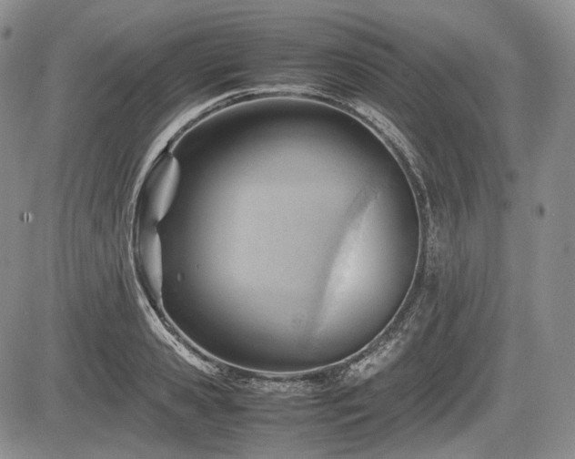 X0000085210941200703161215