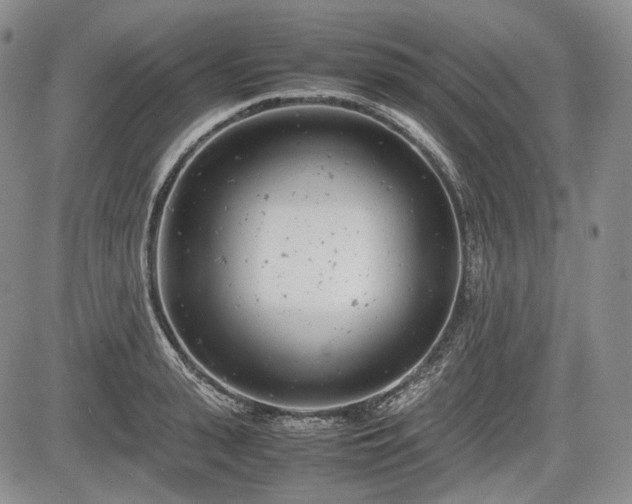 X0000085210943200703161215
