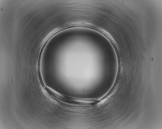 X0000085210946200703161215