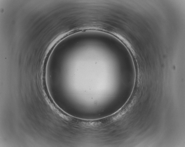X0000085210949200703161215