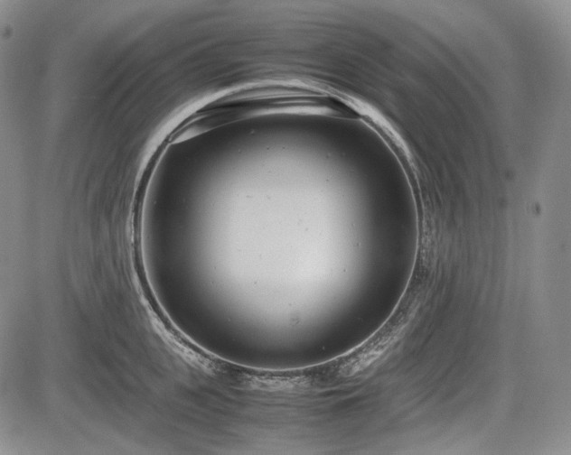 X0000085210951200703161215
