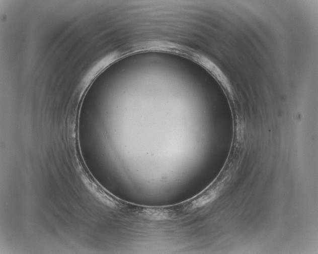 X0000085210954200703161216