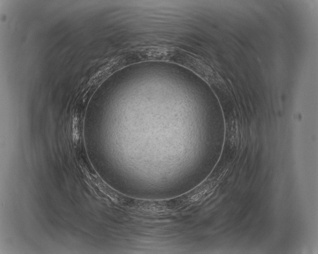X0000085210962200703161215