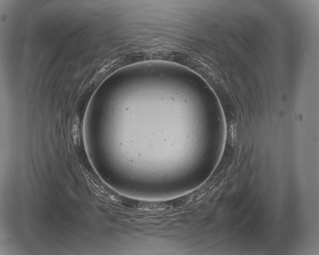 X0000085210963200703161215