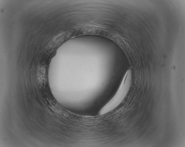 X0000085210964200703161215