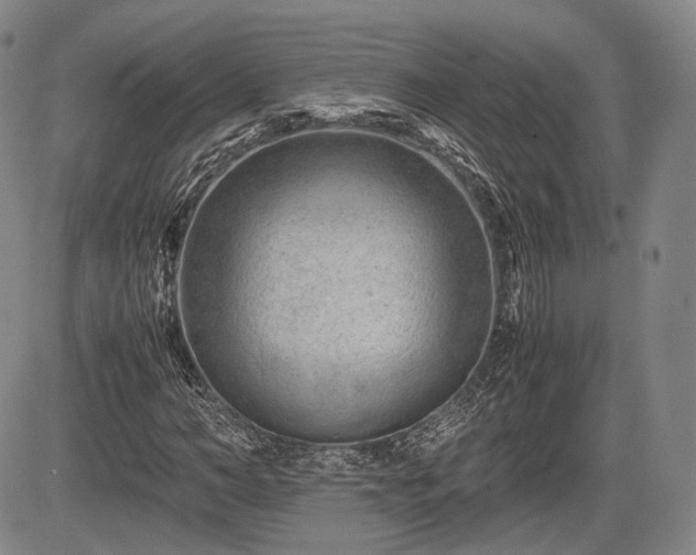 X0000085210966200703161215