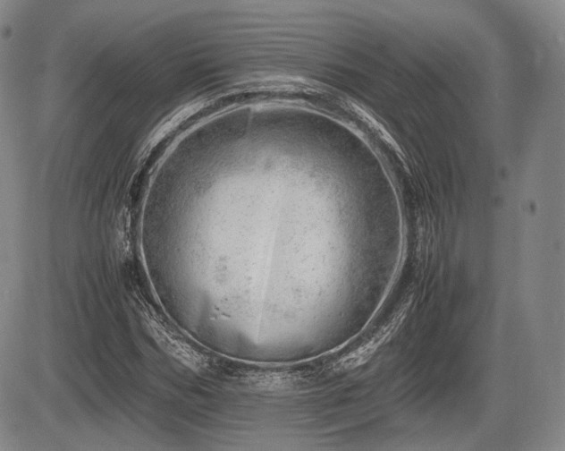 X0000085210970200703161215