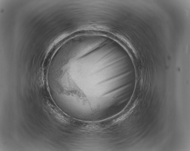 X0000085210974200703161215