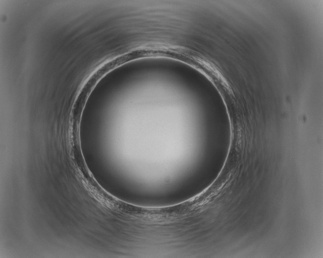 X0000085210976200703161215