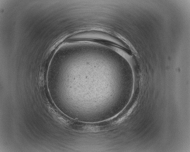 X0000085210977200703161215