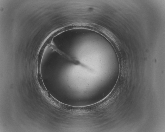 X0000085210984200703161214