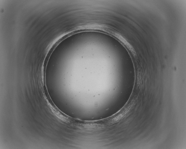 X0000085210988200703161214
