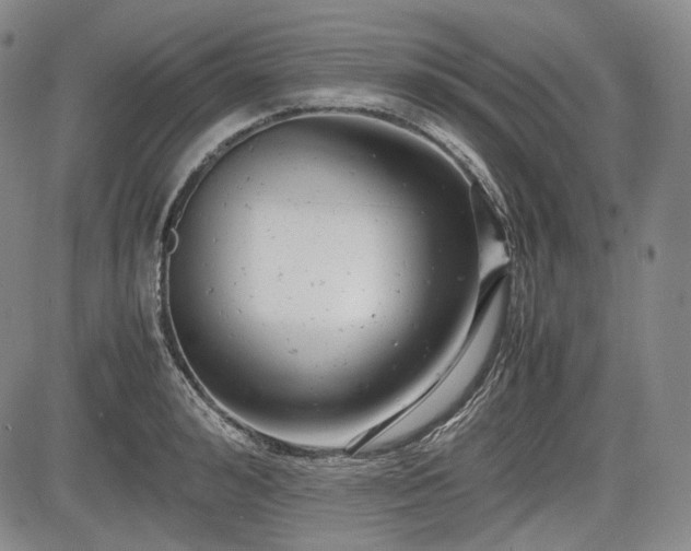 X0000085210992200703161214