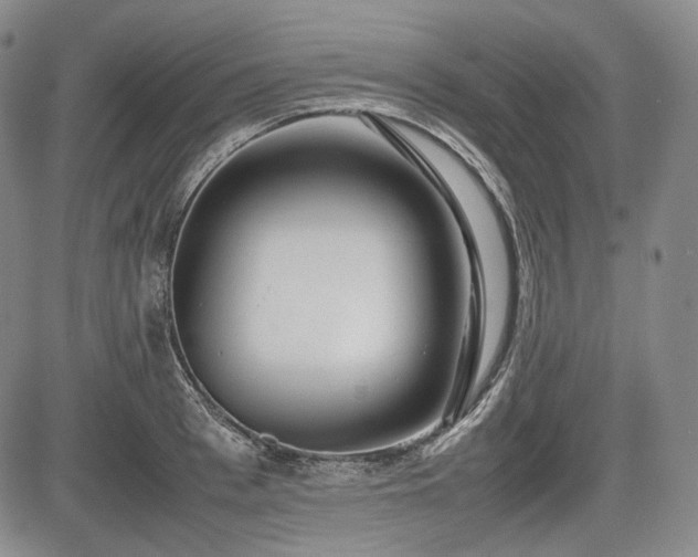 X0000085210993200703161214