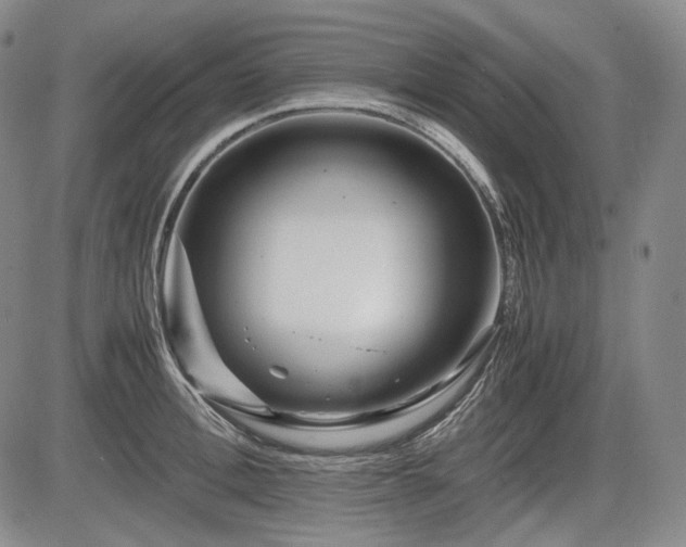 X0000085210996200703161214
