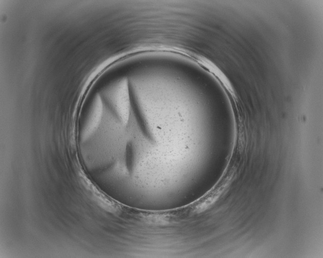X0000085211004200703161214