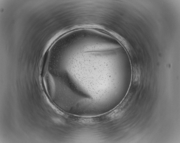 X0000085211006200703161214