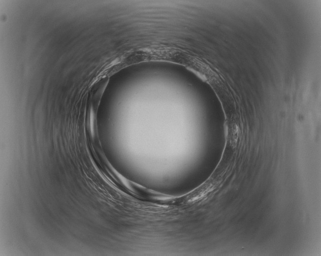 X0000085211010200703161213