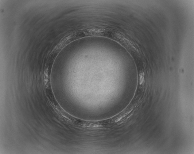 X0000085211011200703161213